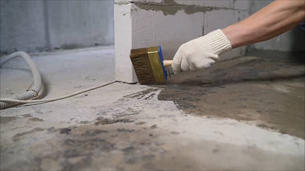 24/7 Emergency Crawl Space Encapsulation experts in New Knoxville, OH